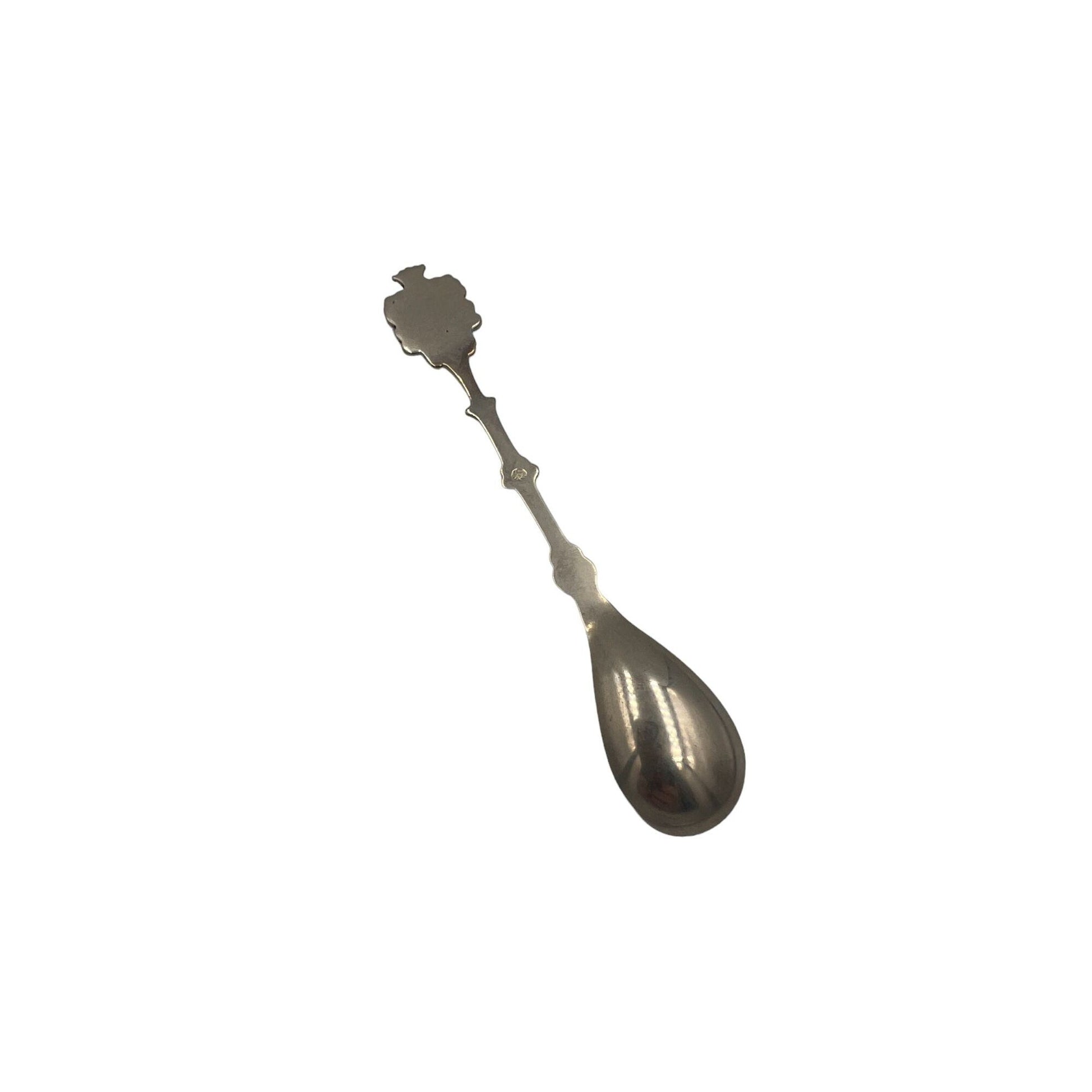 Vintage Souvenir Tea Spoon