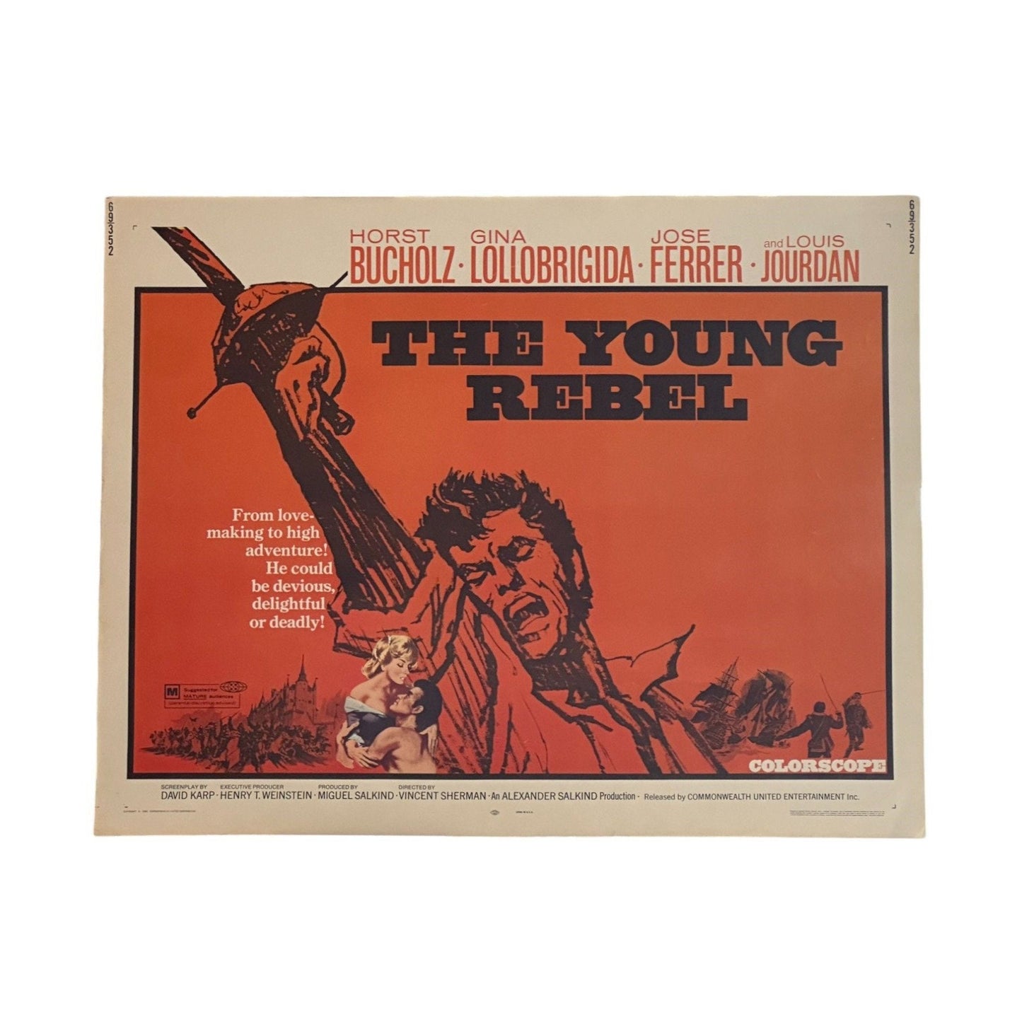 Vintage "The Young Rebel" 1969Movie Poster French Noir